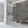 Devit DS120200 Style Душове огородження Walk-In 1200x2000, хром
