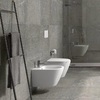Rak ceramics RST23AWHA+ RESC0004 RESORT Унітаз підвісний з кришкою slim, безобідковий, білий