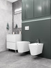 Koller Pool ORION унітаз підвісний з сидінням Soft-close (змив Торнадо 3.0) - OR-0515-RQ3