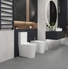 Koller Pool GRACE комплект : унітаз підлоговий з сидінням Soft-close + бачок - GR-0650-RQ-C+GR-0650-RQ-T