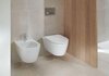 Унітаз підвісний з кришкою soft-close iCon Rimfree 501.664.00.1 Geberit