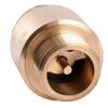 Quality Professional Клапан зворотнього ходу води Q PROFESSIONAL 1? НВ QP100MF