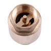 Quality Professional Клапан зворотного ходу води Q PROFESSIONAL 1/2? QP100