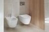 Geberit Унітаз підвісний з кришкою iCon Rimfree 501.663.JT.1
