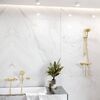 Ручний душ Hansgrohe Raindance Select S 120 3jet, золото (26530990)