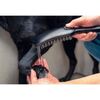 Ручний душ Hansgrohe DogShower 150 3Jet Petrol, синій (26640540)