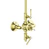 Душова система AXOR Montreux, Polish brass (28474930)