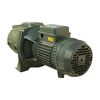 Насос відцентровий M-300A PL 2,2 кВт Saer (7 м3/год, 69 м) трифазний