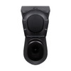 Унітаз підлоговий Qtap Robin Ultra Quiet безобідковий з сидінням Soft-close MATT BLACK QT13226083AMB