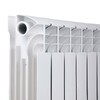 Радіатор біметалічний Thermo Alliance Bi-Ferrum 300/100 1,15 кг