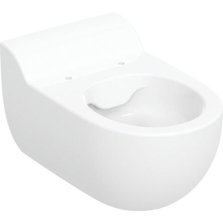 Підвісний унітаз для дітей Geberit Bambini, Rimfree, білий (502.959.00.1)