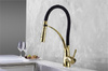змішувач для кухні Rea Gaspar black/l.gold (REA-B1019)