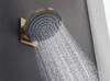 Hansgrohe PULSIFY верхній душ 260мм, 1 режим, колір шліфована бронза - 24140140