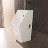 Уринал Hansgrohe EluPura Q HygieneEffect 600х300 мм, White (62011450)