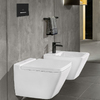 Кнопка змиву Villeroy&Boch ViConnect E300 (922169AN)