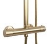 душевой комплект Rea Tom gold brushed (REA-P5004)